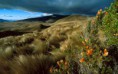 /album/fotogaleria-fotogaleria/ecuador-hd-wallpaper-jpg/