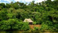 /album/fotogaleria-fotogaleria/ecuador-rainforest-768x1366-jpg/